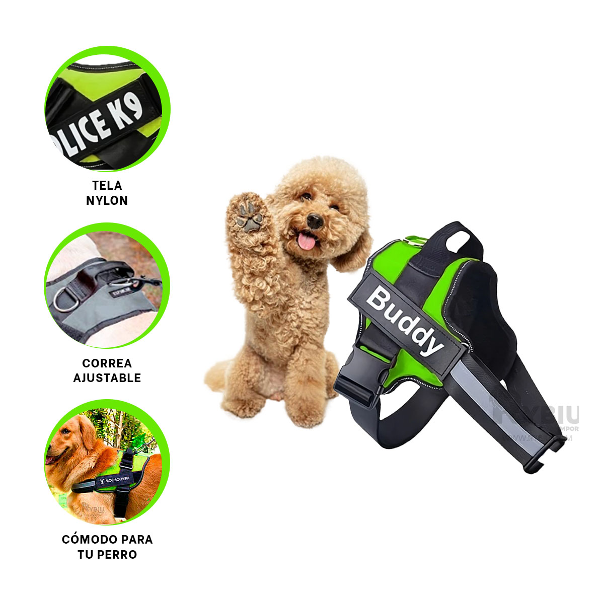 CORREA PERROS MA30969 RYBIU IDEAL EN VERDE + ENVOLTORIO REGALO - 2