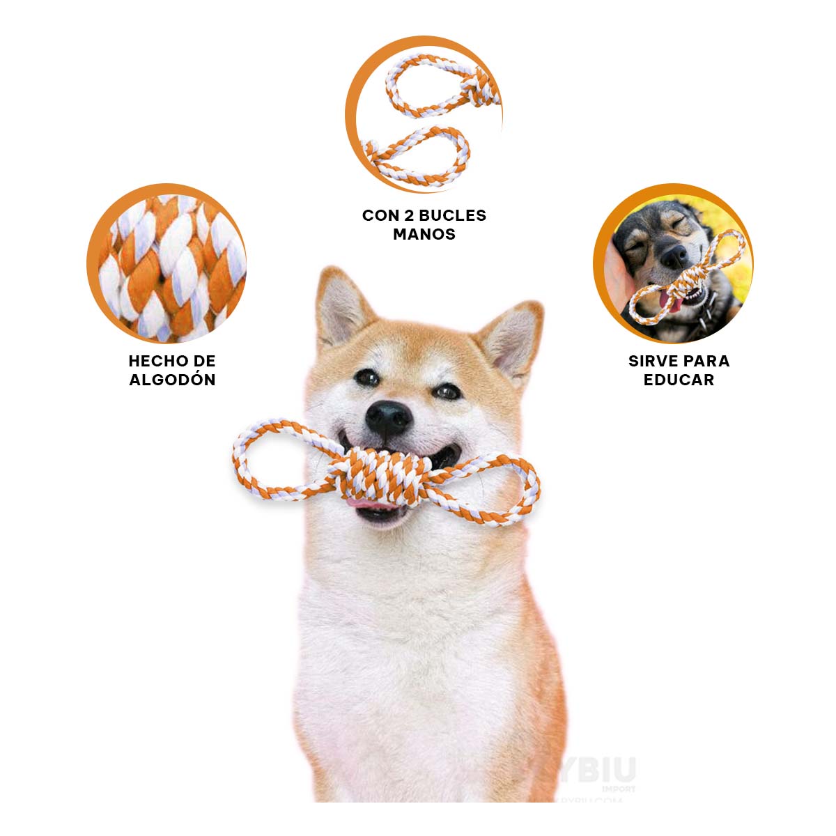 SOGA DINAMICA RYBIU MA31098 PERROS ANARANJADO + GIFT STICKERS - 3