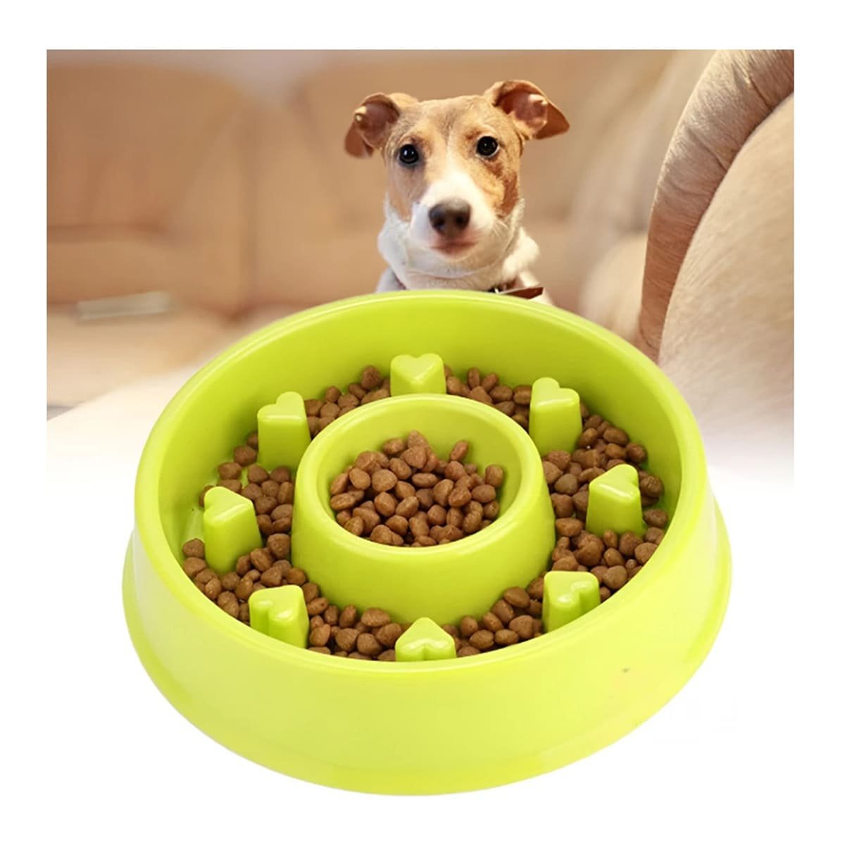COMEDERO PET VERDE CIRCULAR CORAZONES ANTIESTRES - 2