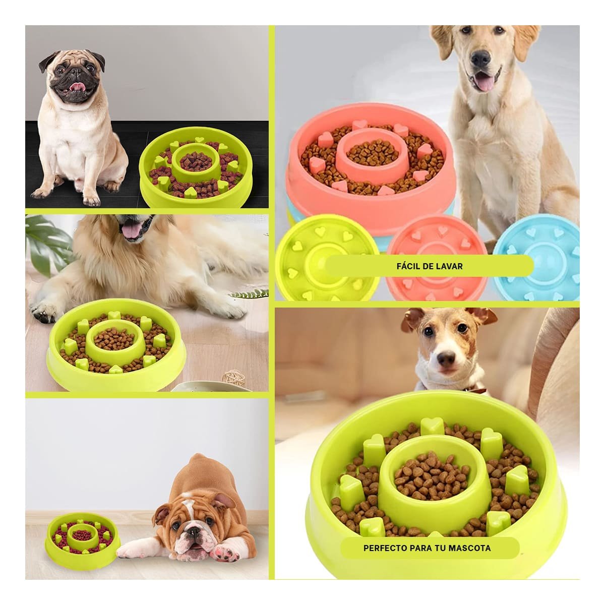 COMEDERO PET VERDE CIRCULAR CORAZONES ANTIESTRES - 5