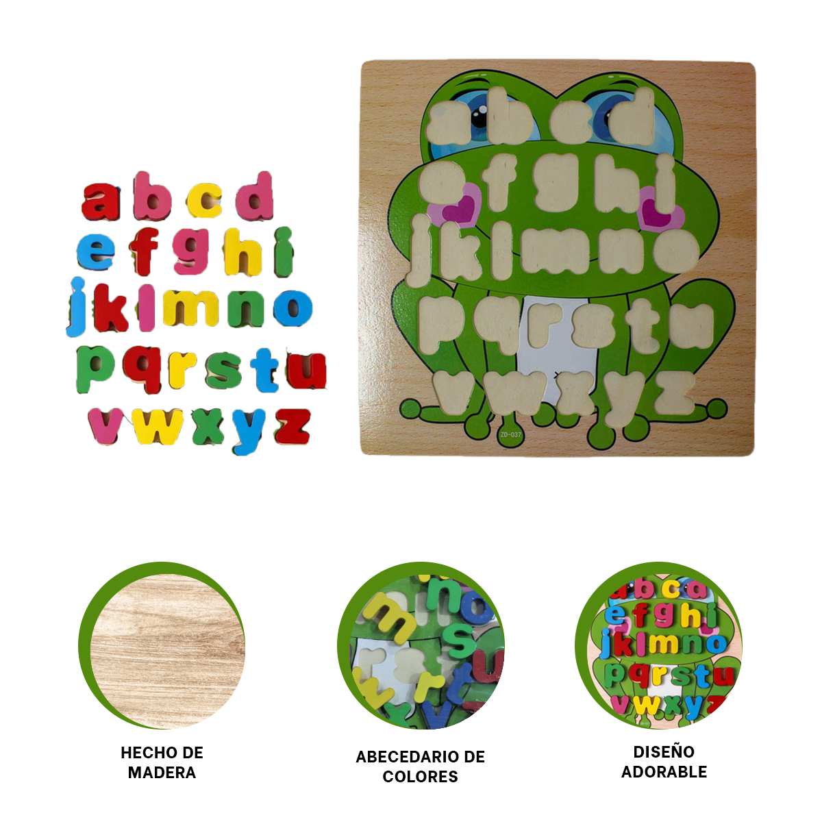 TABLA DE RANA DIDACTICO VERDE Y+ENVOLTORIO DE REGALO - 3
