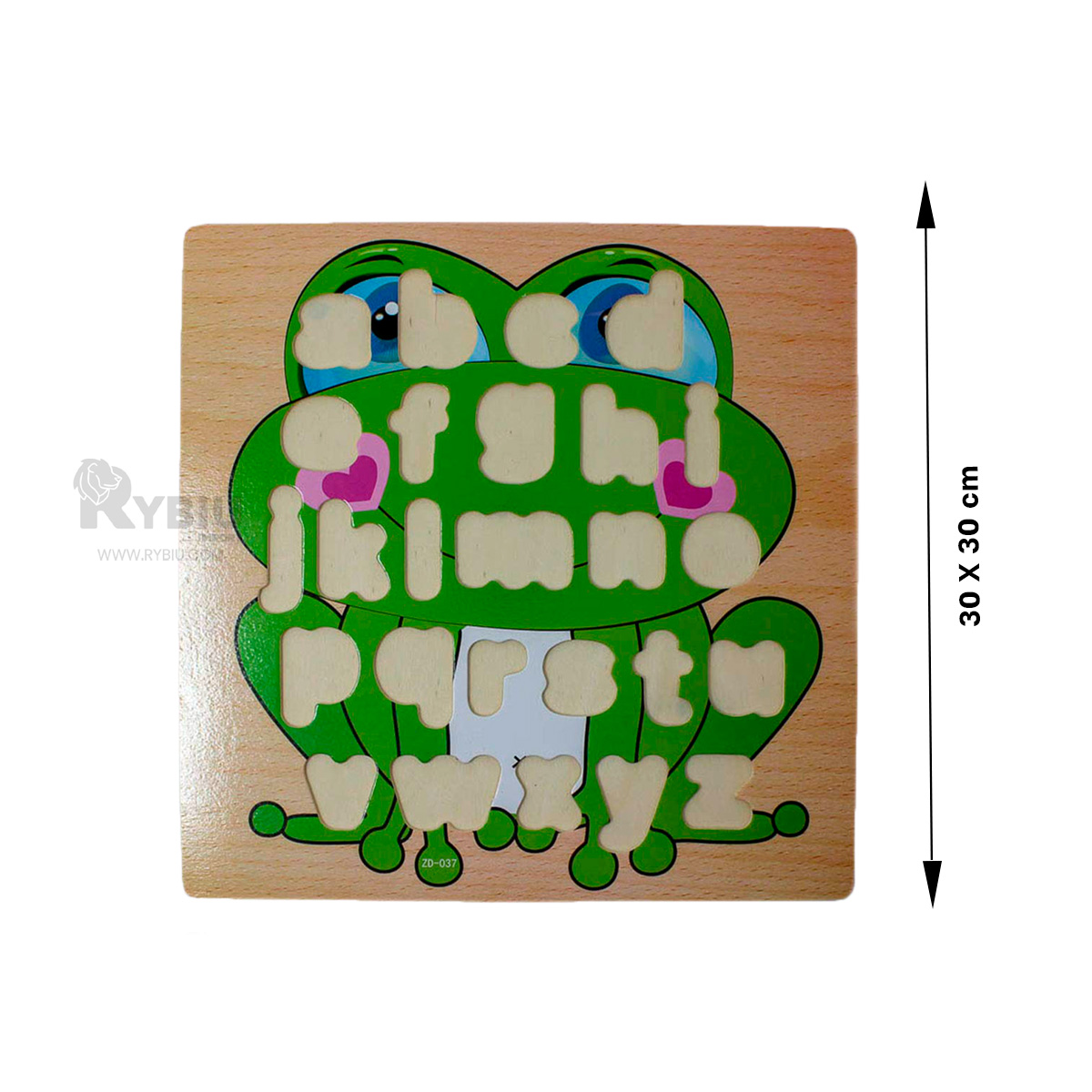 TABLA DE RANA DIDACTICO VERDE Y+ENVOLTORIO DE REGALO - 5