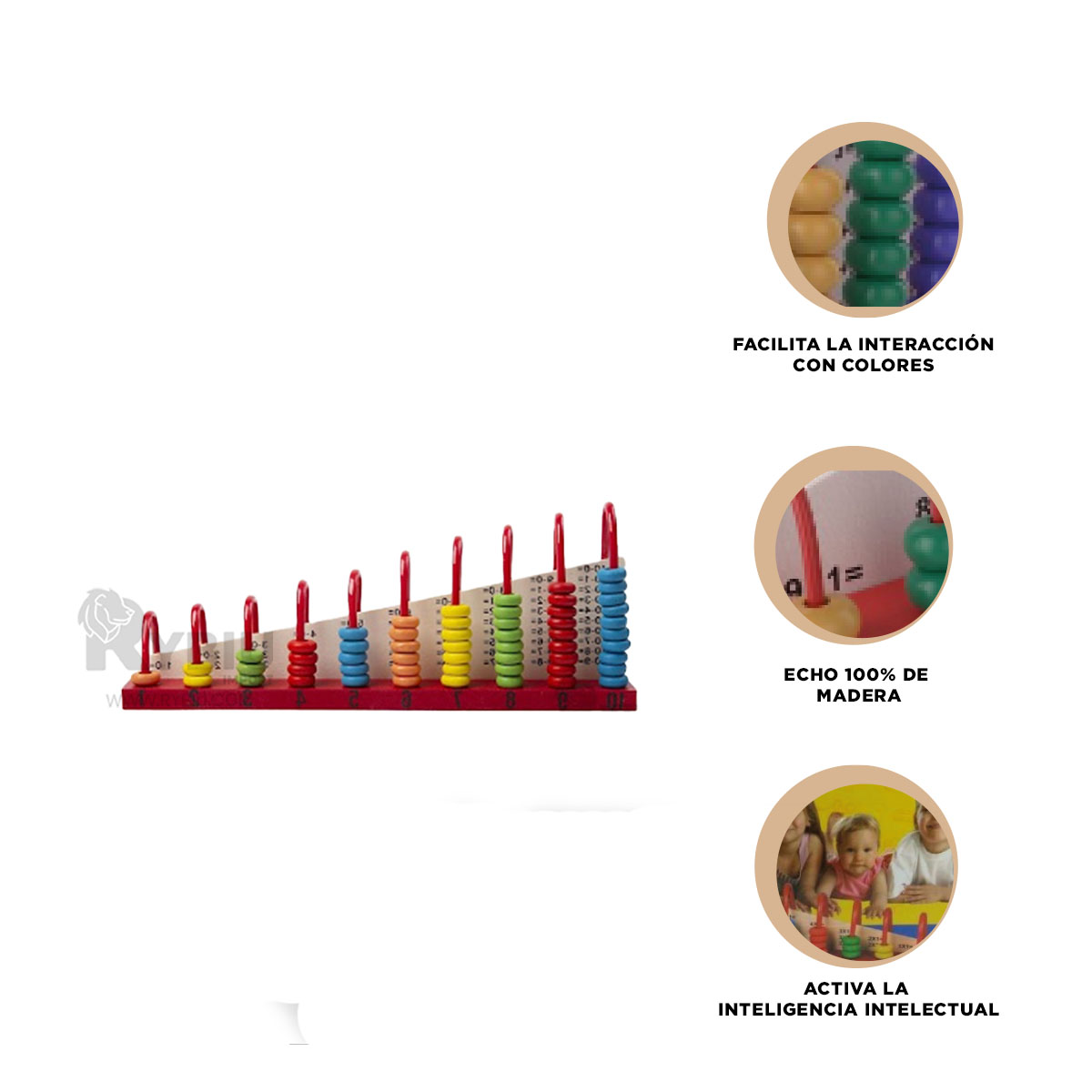ORGANIZADOR EFICIENTE Y CALCULO MULTICOLOR Y+LIGAS DE REGALO - 3