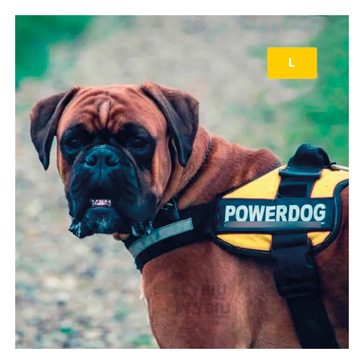 CORREA PERROS MA30957 RYBIU DINAMICA EN TALLA L AMARILLO + GIFT STICKERS - 2