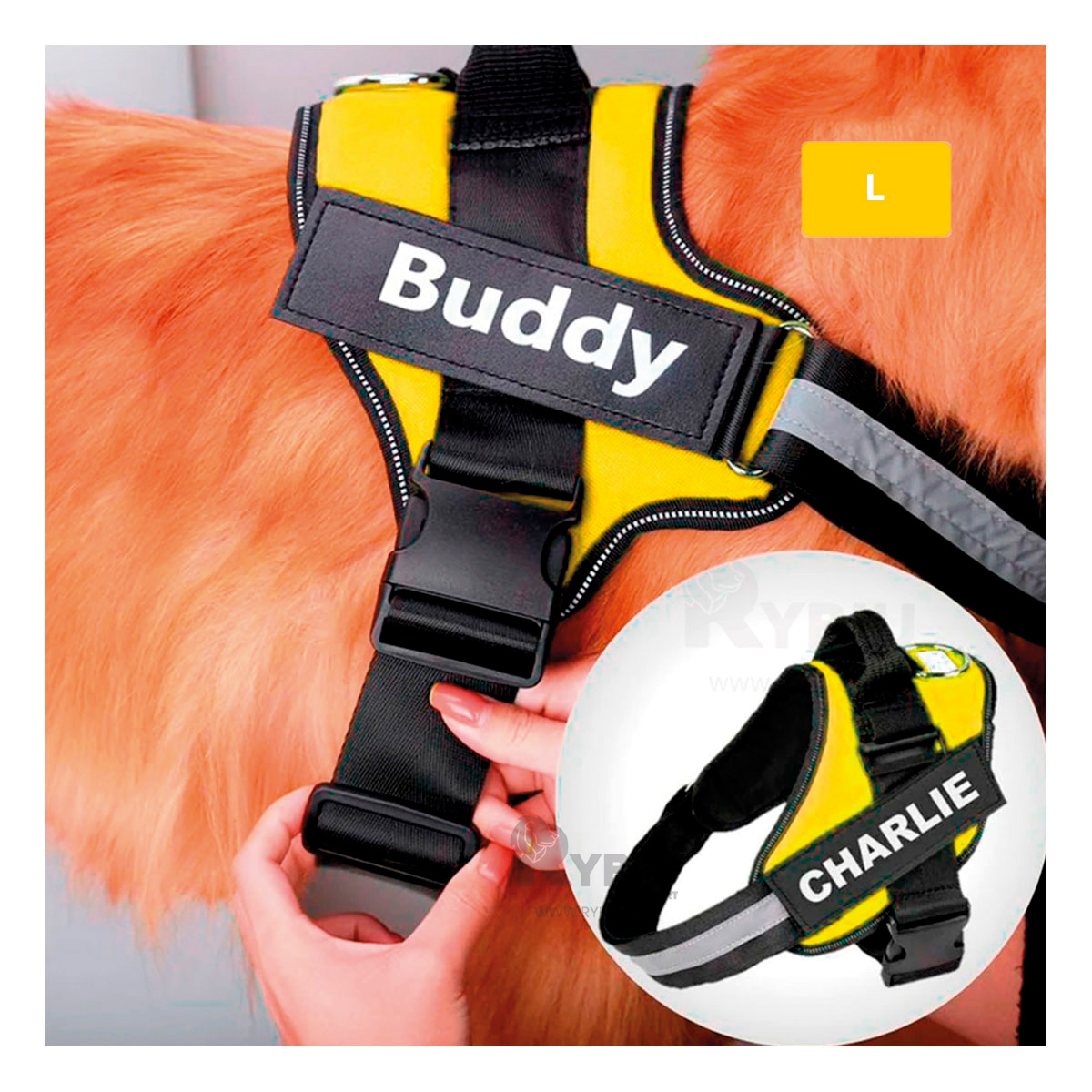 CORREA PERROS MA30957 RYBIU DINAMICA EN TALLA L AMARILLO + GIFT STICKERS - 4