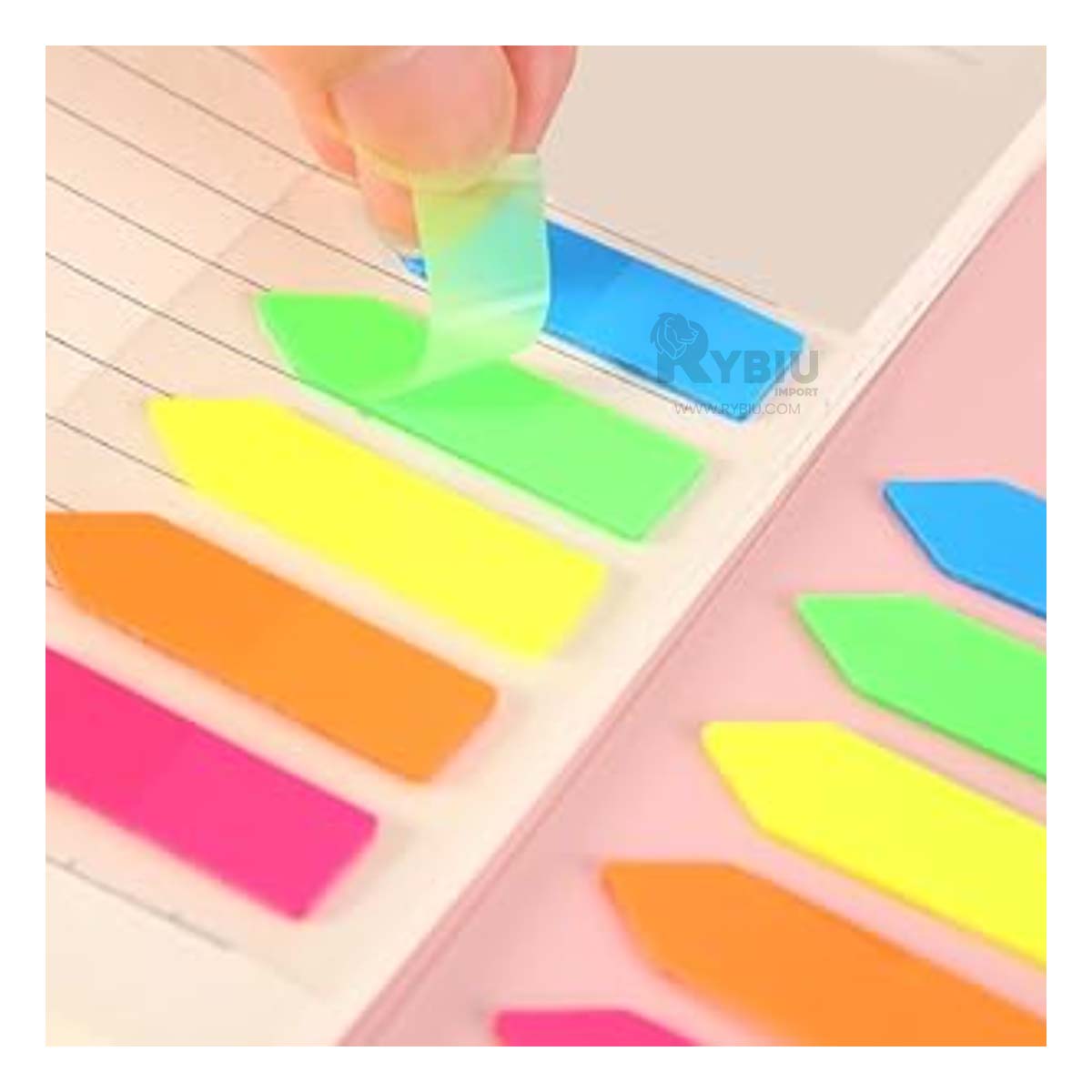 HOJAS DINAMICAS MULTICOLOR EN TRANSPARENTE Y+REGALO AGENDITA - 4