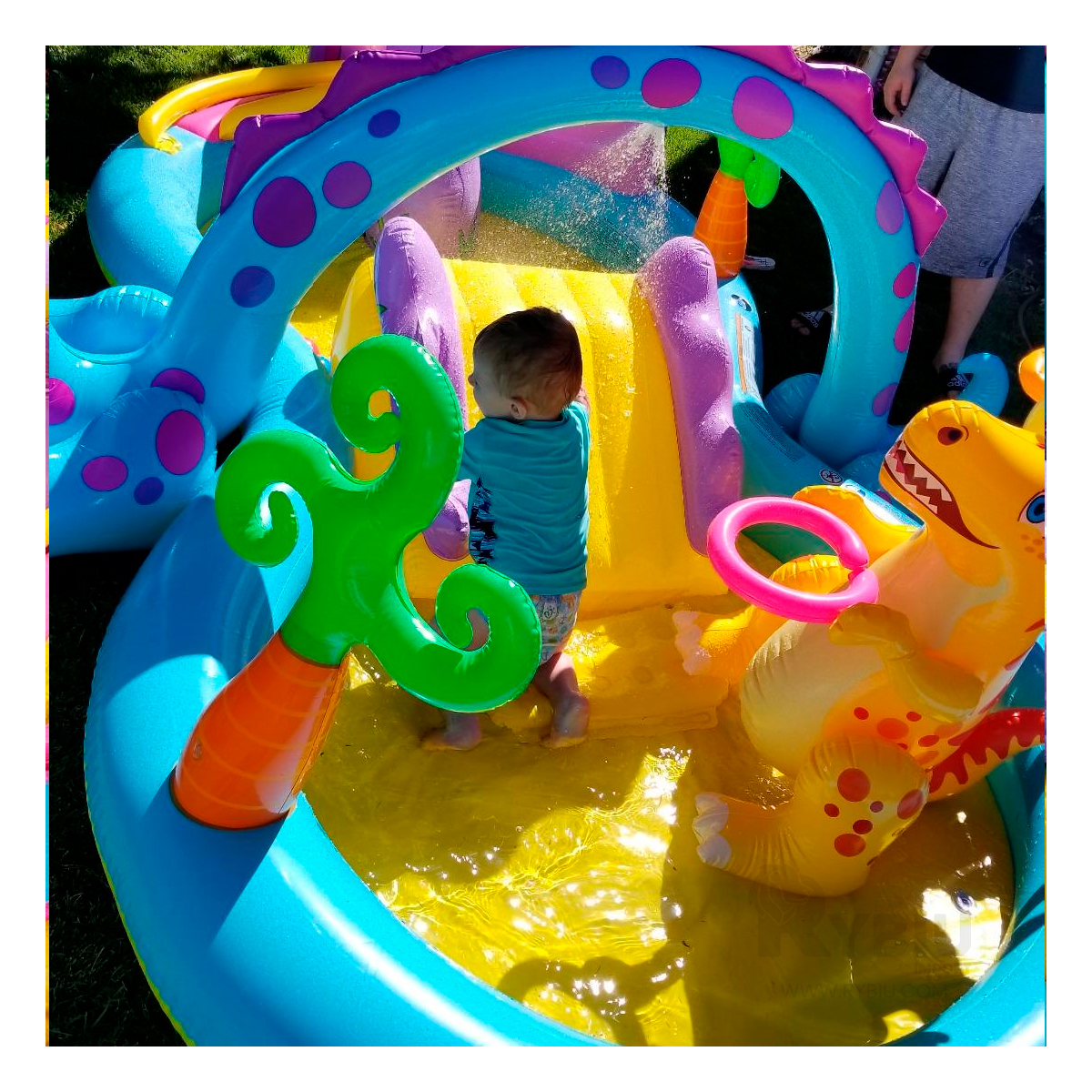 PISCINA AIREABLE DE ANIMAL PREHISTORICO Y+REGALO STICKERS - 1