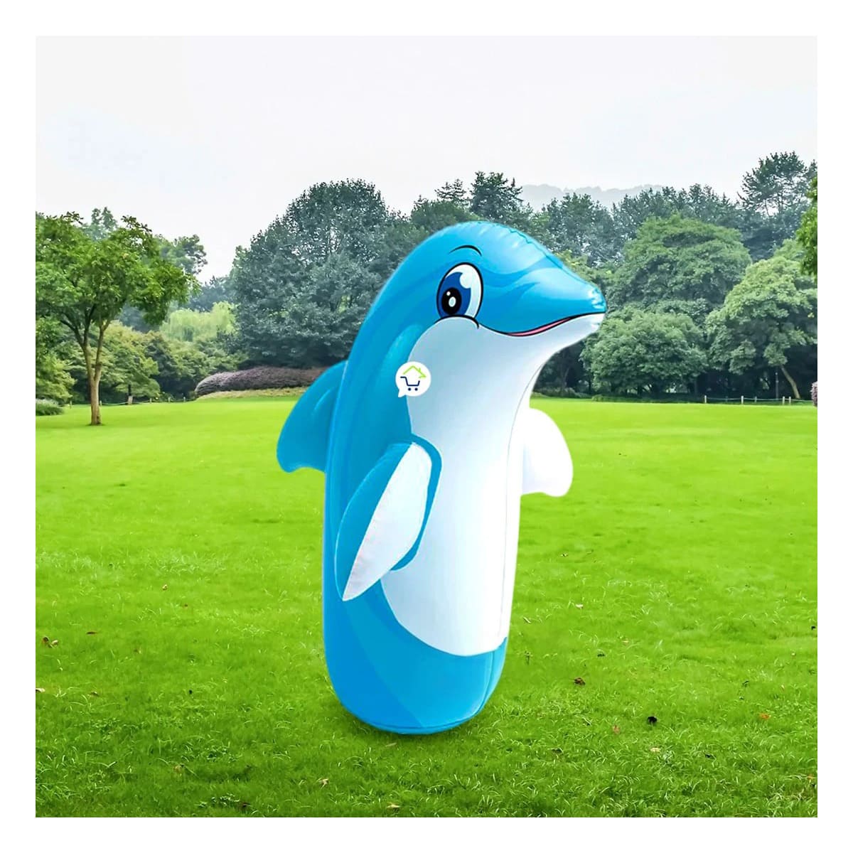 PACK5 PORFIADO DIVERTIDO INFLABLE DE EXTERIORES DE DELFIN - 1