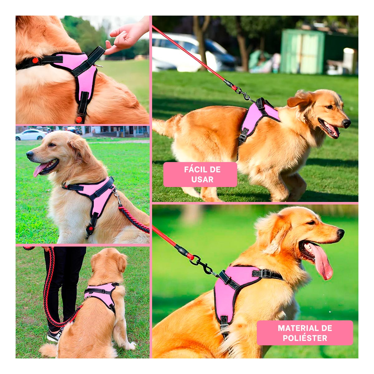 PACK12 PECHERA DE PET PARA PASEO EN S ROSA Y+LIGAS DE REGALO - 3