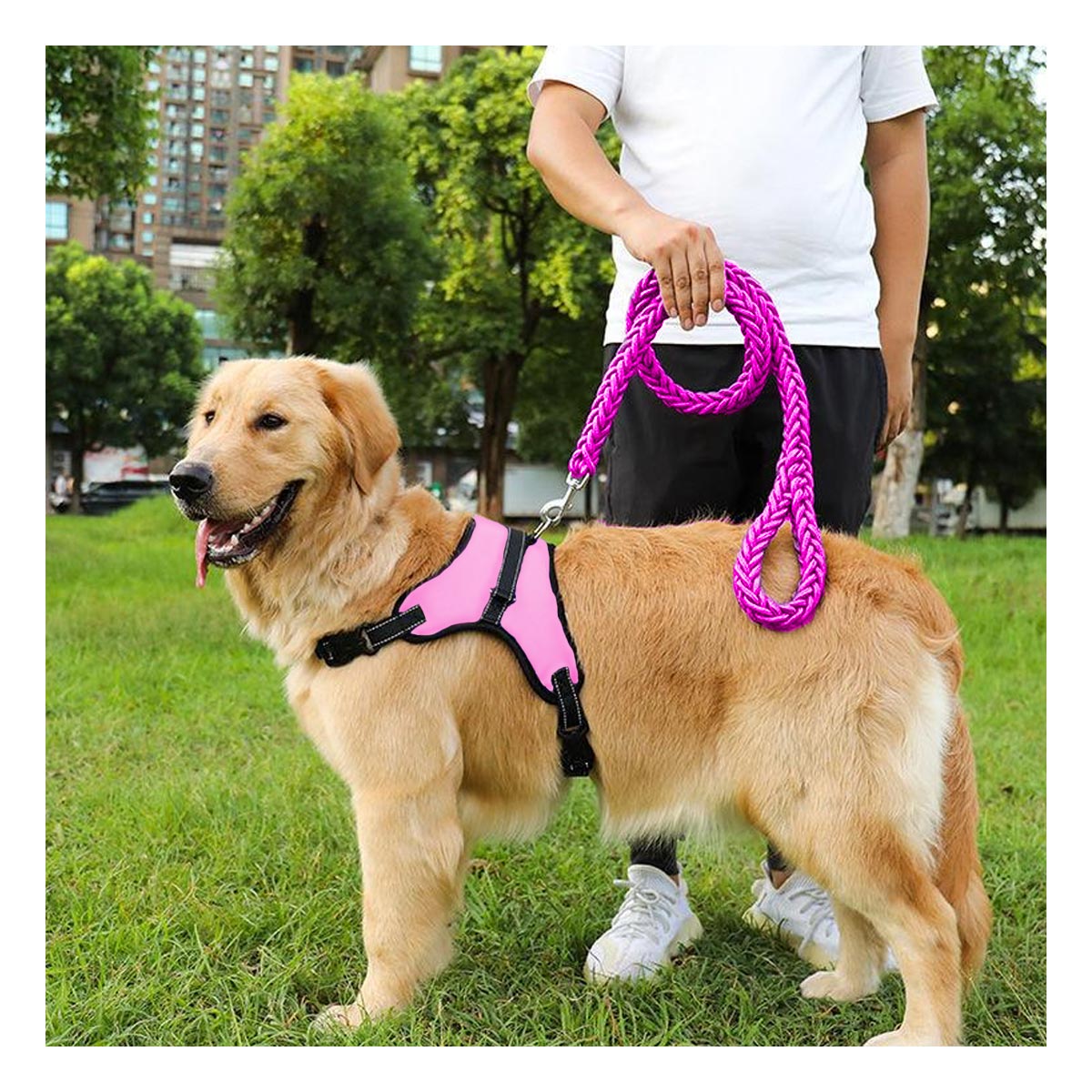 PACK12 PECHERA DE PET PARA PASEO EN S ROSA Y+LIGAS DE REGALO - 4