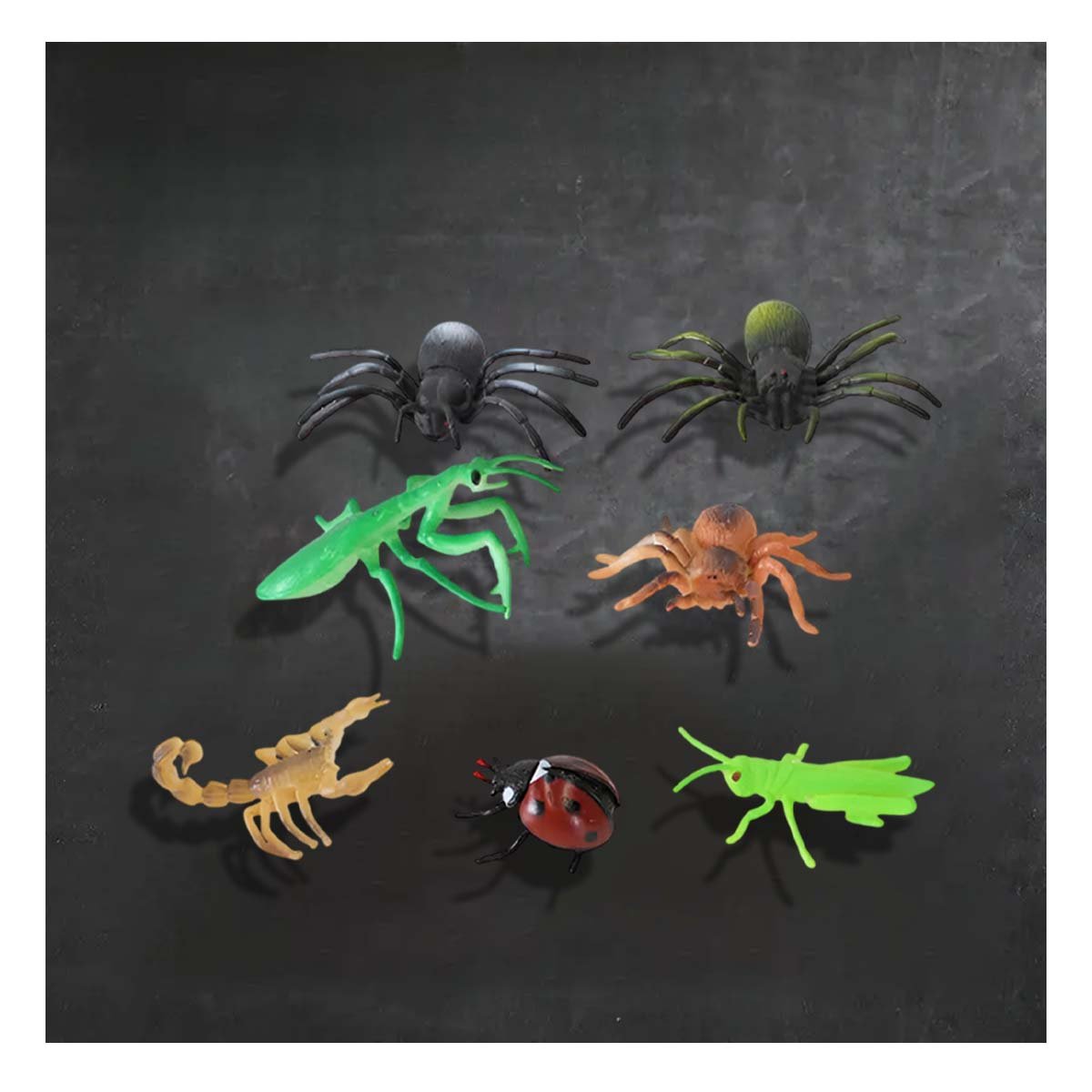 PACK6 JUGUETE COLECCION DE INSECTOS Y+REGALO STICKERS - 5