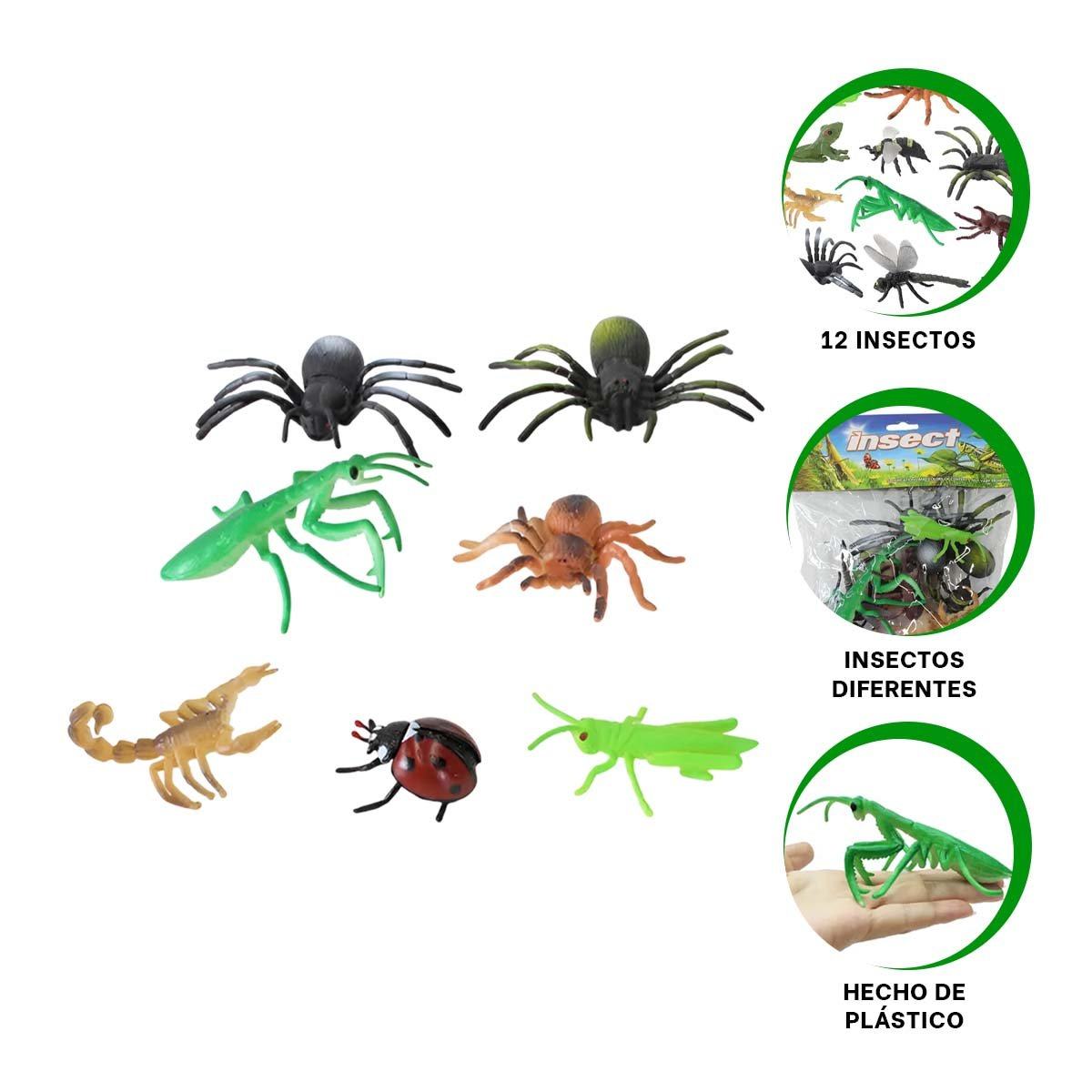 COLECCION DE INSECTOS MULTICOLOR PARA JUEGO EDUCATIVO Y OBSERVACION INFANTIL - 3