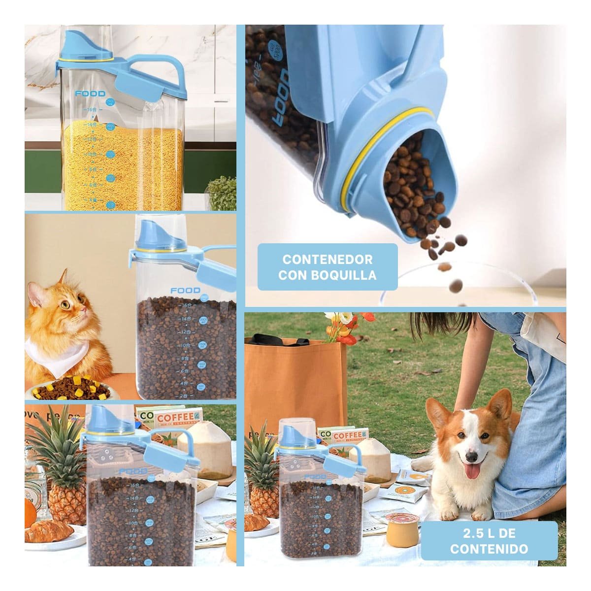 PACK6 BOTELLA CON BOQUILLA TAPA Y ASA 2.5L COMODA PARA ALMACENAR LIQUIDOS Y+PAPEL REGALO - 3