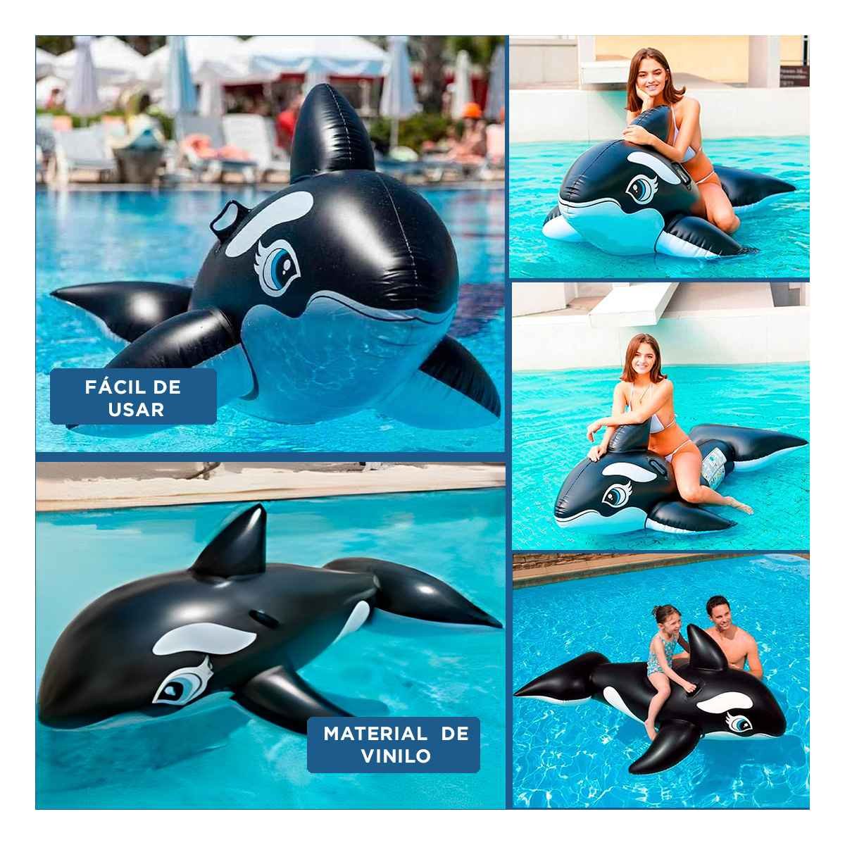 PACK2 JUGUETE ORCA 193 X 119 CM INFLABLE PARA PISCINA Y+PAPEL REGALO - 3
