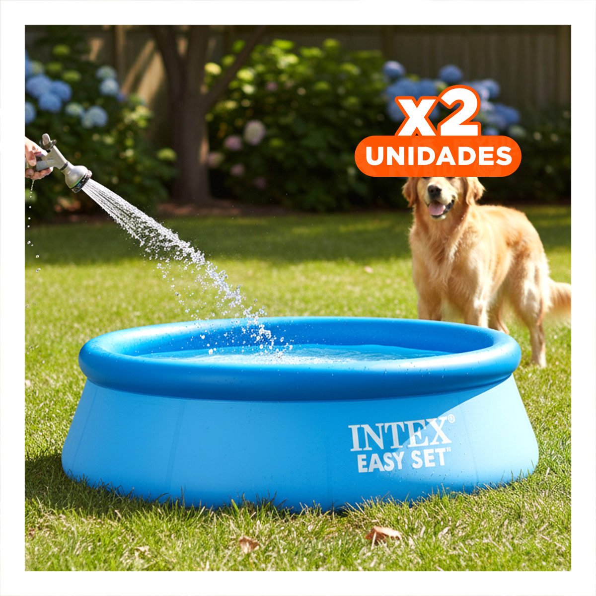 PACK2 AREA HOGAR INFLABLE CIRCULAR CON BORDE ALTO Y USO FAMILIAR Y+REGALO STICKER - 1