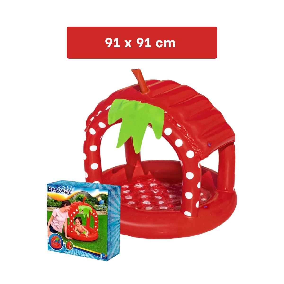 PACK4 PISCINA INFLABLE FRESITA PARA HOGAR Y PATIO CON ESTILO DECORATIVO Y+PAPEL REGALO - 4