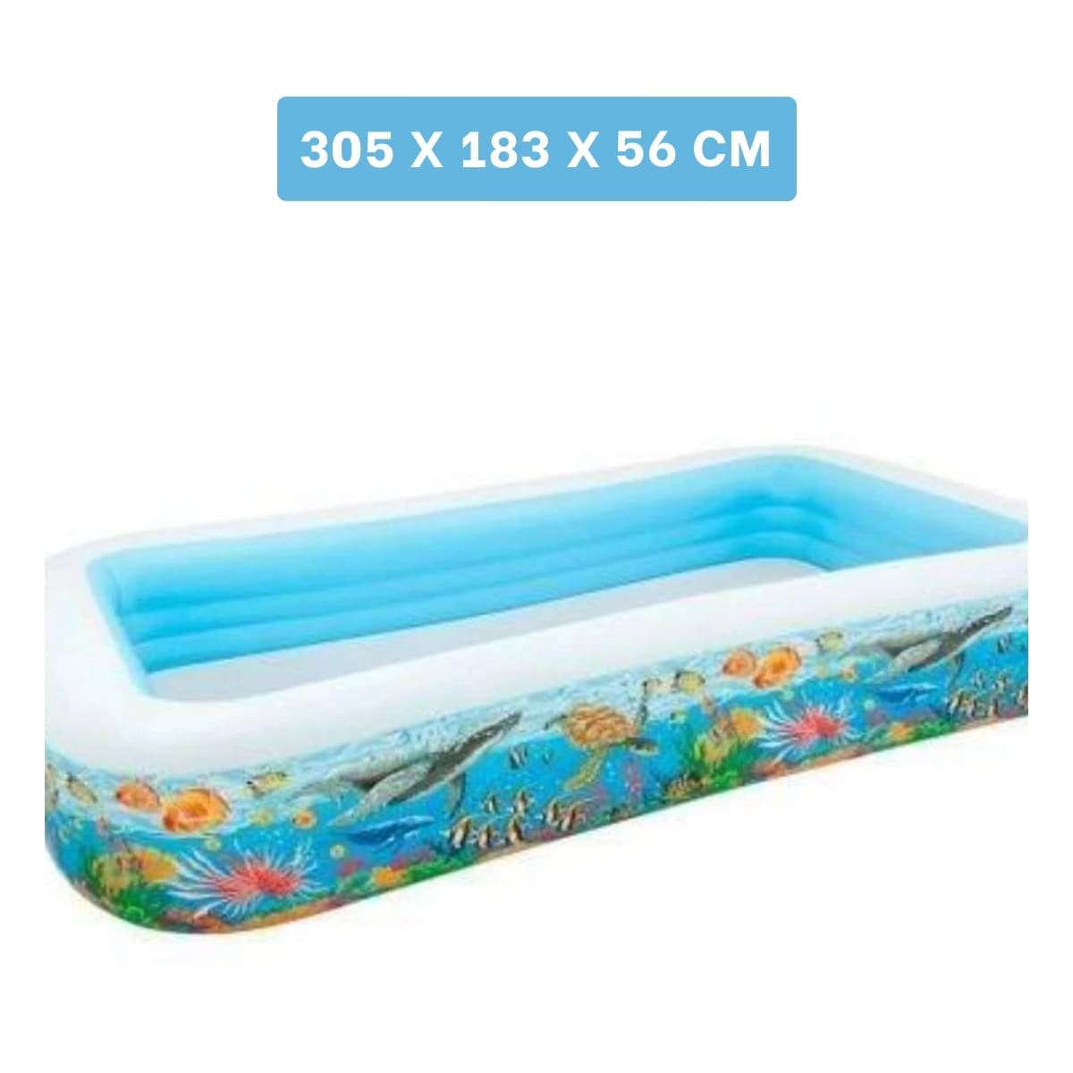 PACK2 PILETA TROPICAL PARA JARDIN CON USO COMPARTIDO Y AMBIENTE REFRESCANTE Y+PAPEL REGALO - 4