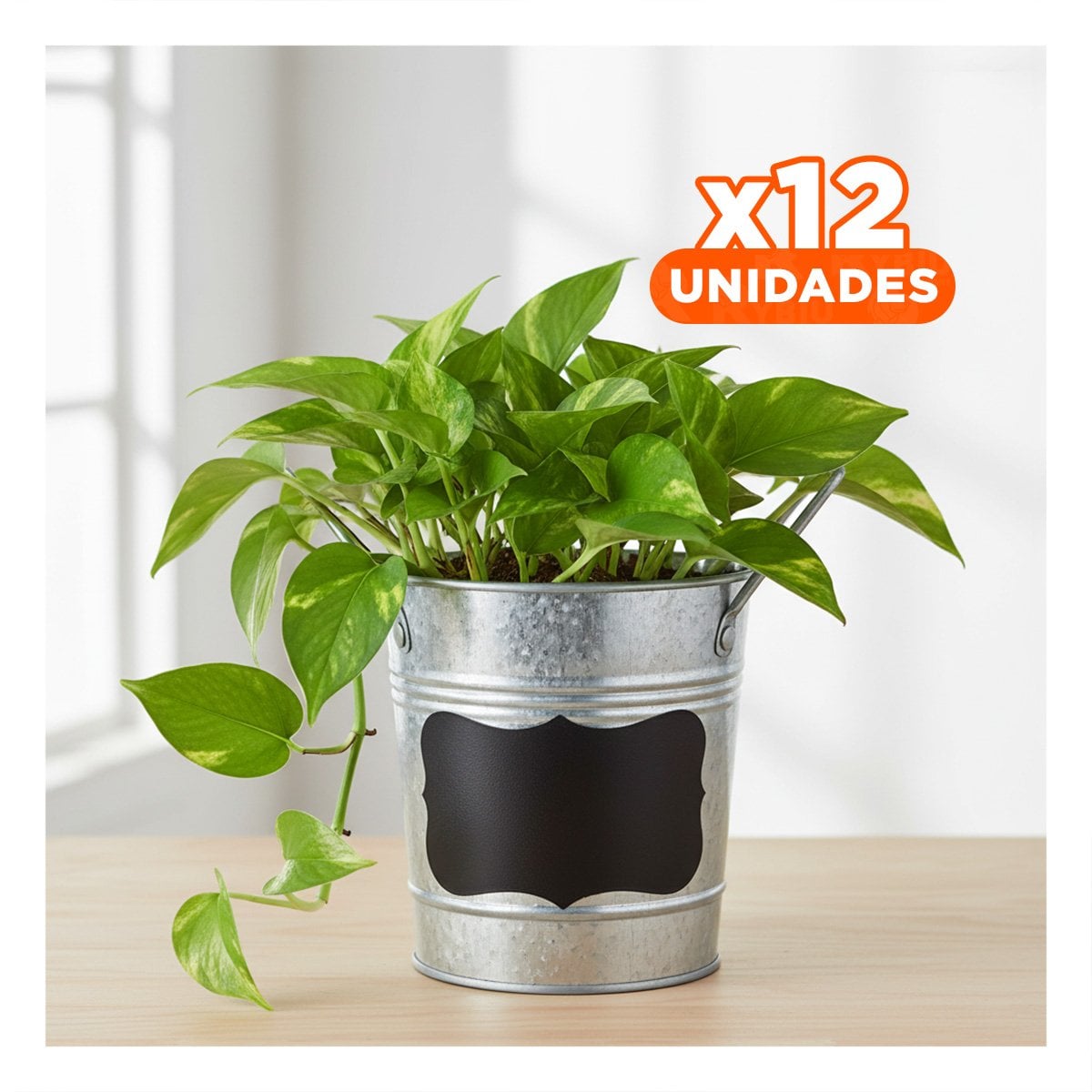 PACK12 RECIPIENTE CUBO DE METAL CON DOBLE ASA 10X8.5CM PLATEADO DISEÑO FIRME - 1