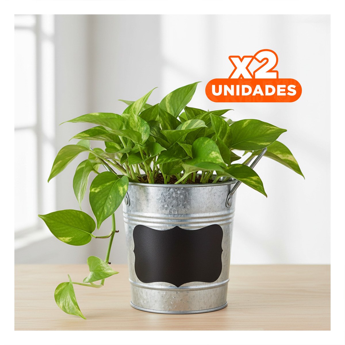 PACK2 BASE PARA PLANTA CUBO DE METAL CON ASA 10X8.5CM PLATEADO ACABADO DURABLE Y+REGALO STICKER - 1