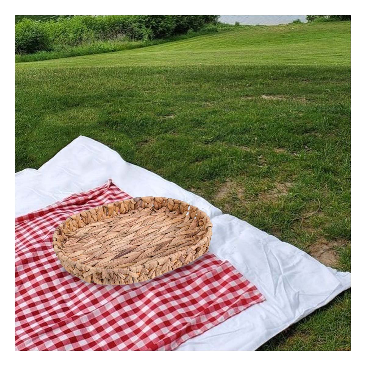 PACK12 ORGANIZADOR PRÁCTICA OVALADA GRASS 32X24X4.5CM PARA SALA MOSTAZA Y+PAPEL REGALO - 5
