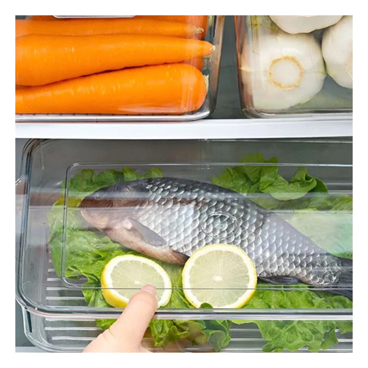 PACK2 CONTENEDOR DE COCINA CON ASAS PEQUEÑAS 32X20X5CM TRANSPARENTE Y+REGALO STICKER - 5