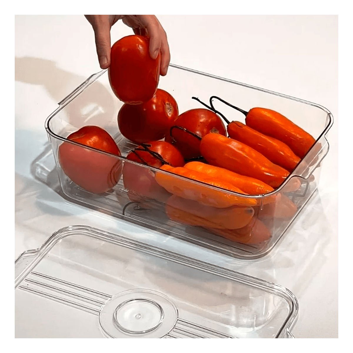 PACK2 CONTENEDOR TRANSPARENTE DE COCINA CON ASAS PEQUEÑAS 30X16X11CM Y+REGALO STICKER - 5