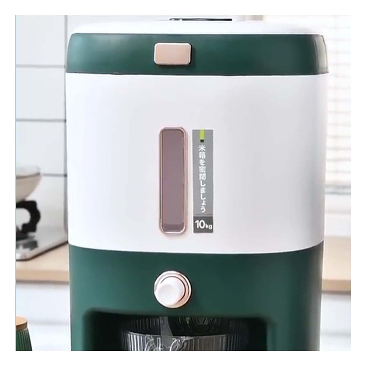 SERVIDOR 10KG DE MENESTRAS Y ARROZ VERDE CON BLANCO Y+POST IT - 3