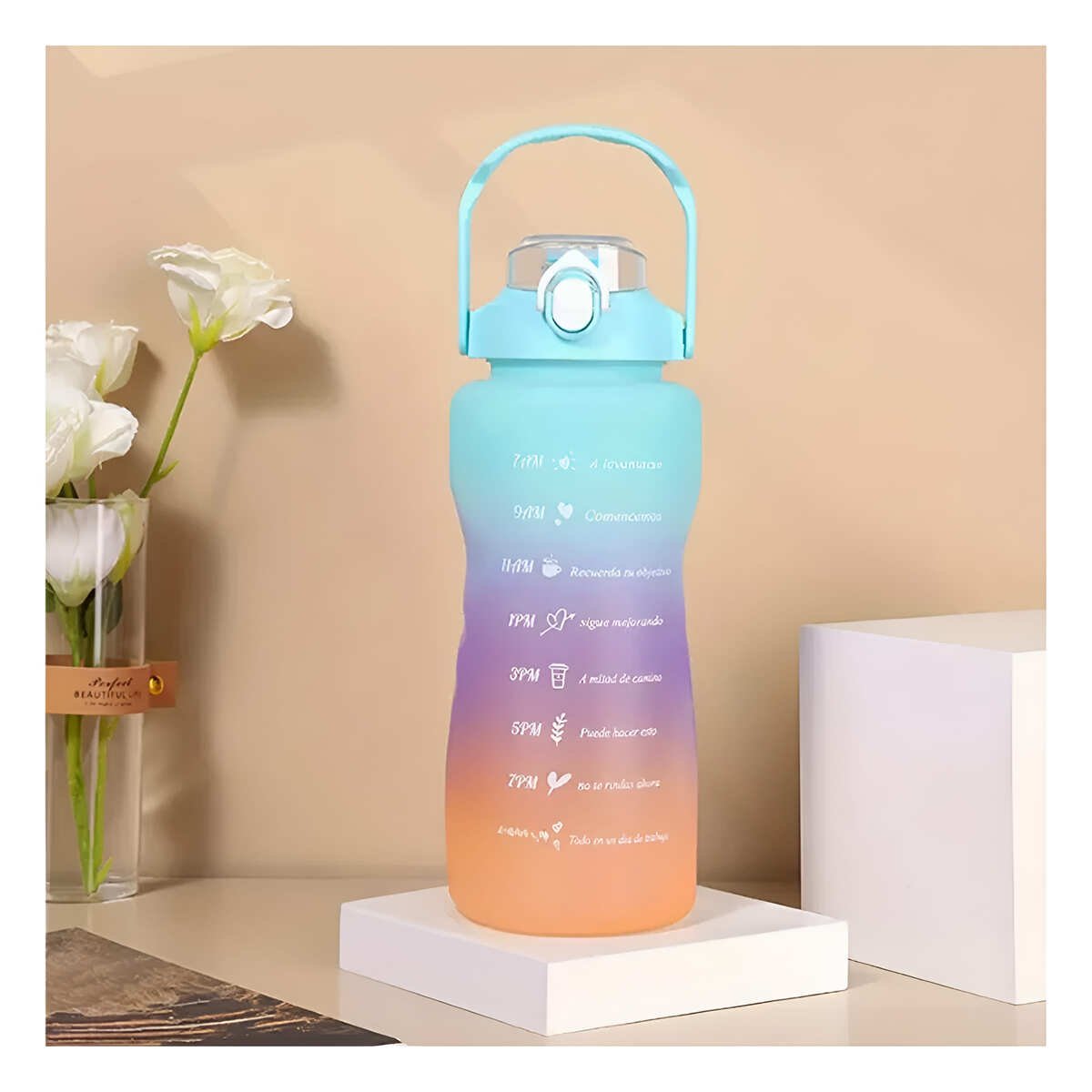 PACK6 CANTIMPLORAS VERDE CON VOLUMEN 2 L 1 L Y 300 ML Y TAPA RESISTENTE Y+PAPEL REGALO - 5