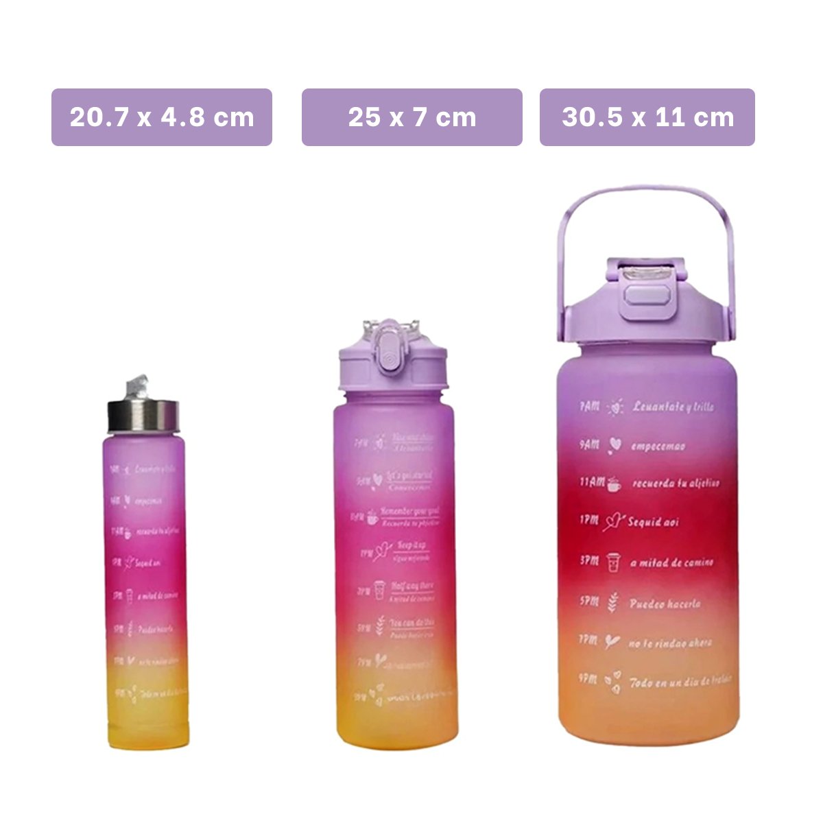 PACK6 CANTIMPLORAS MORADO CON VOLUMEN 2 L 1 L Y 300 ML Y TAPA RESISTENTE Y+PAPEL REGALO - 4