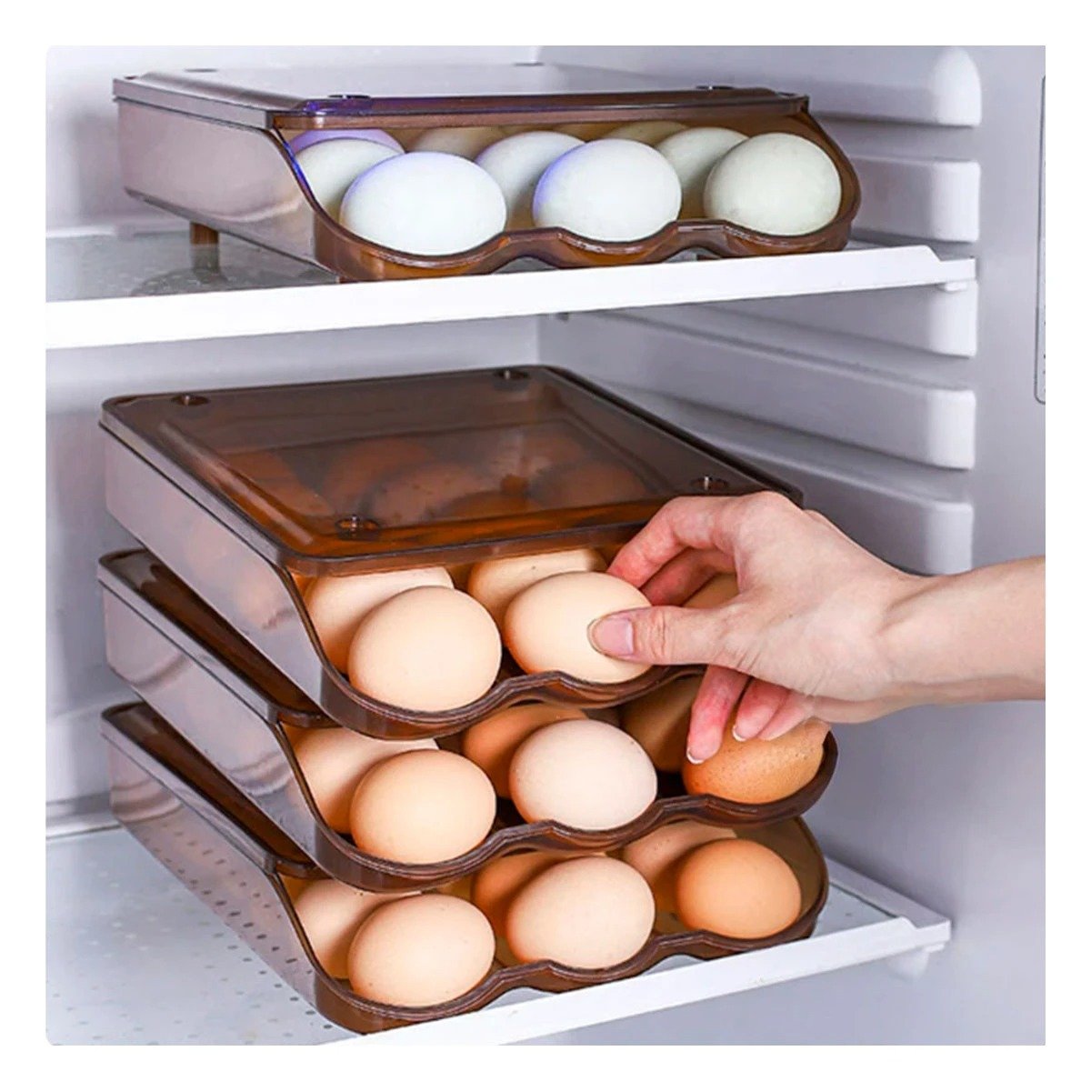 PACK4 CAJA PLASTICA COMPACTA TRANSPARENTE MARRON PARA 18 HUEVOS ORGANIZA Y+PAPEL REGALO - 2