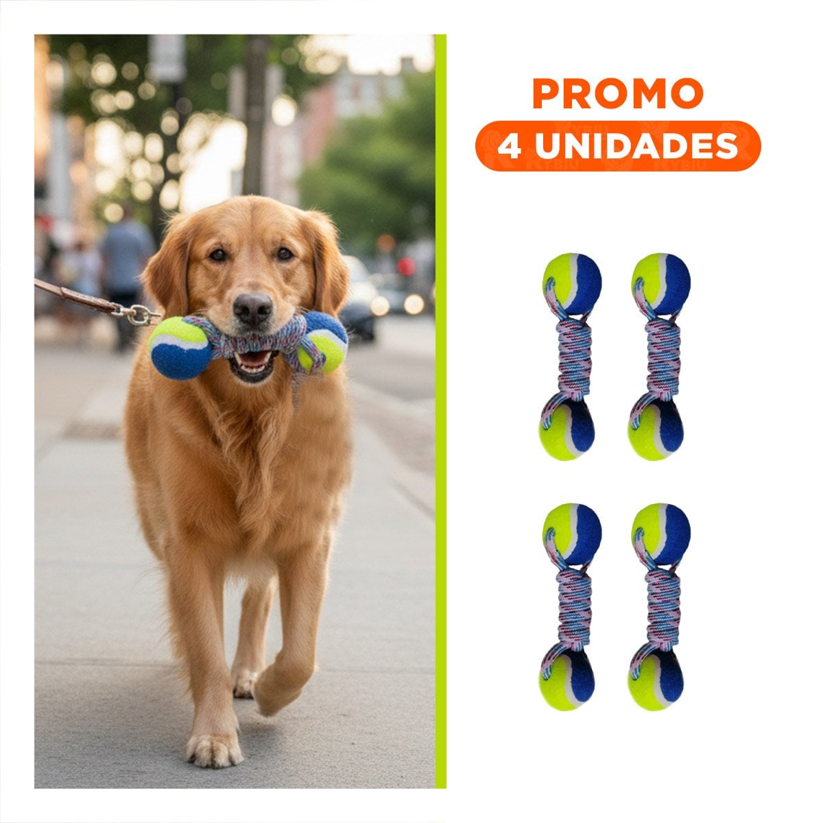 PACK4 OBJETO DE ENTRENAMIENTO CANINO CON PELOTAS DE TENIS AMARILLO CON AZUL Y+REGALO STICKER - 1