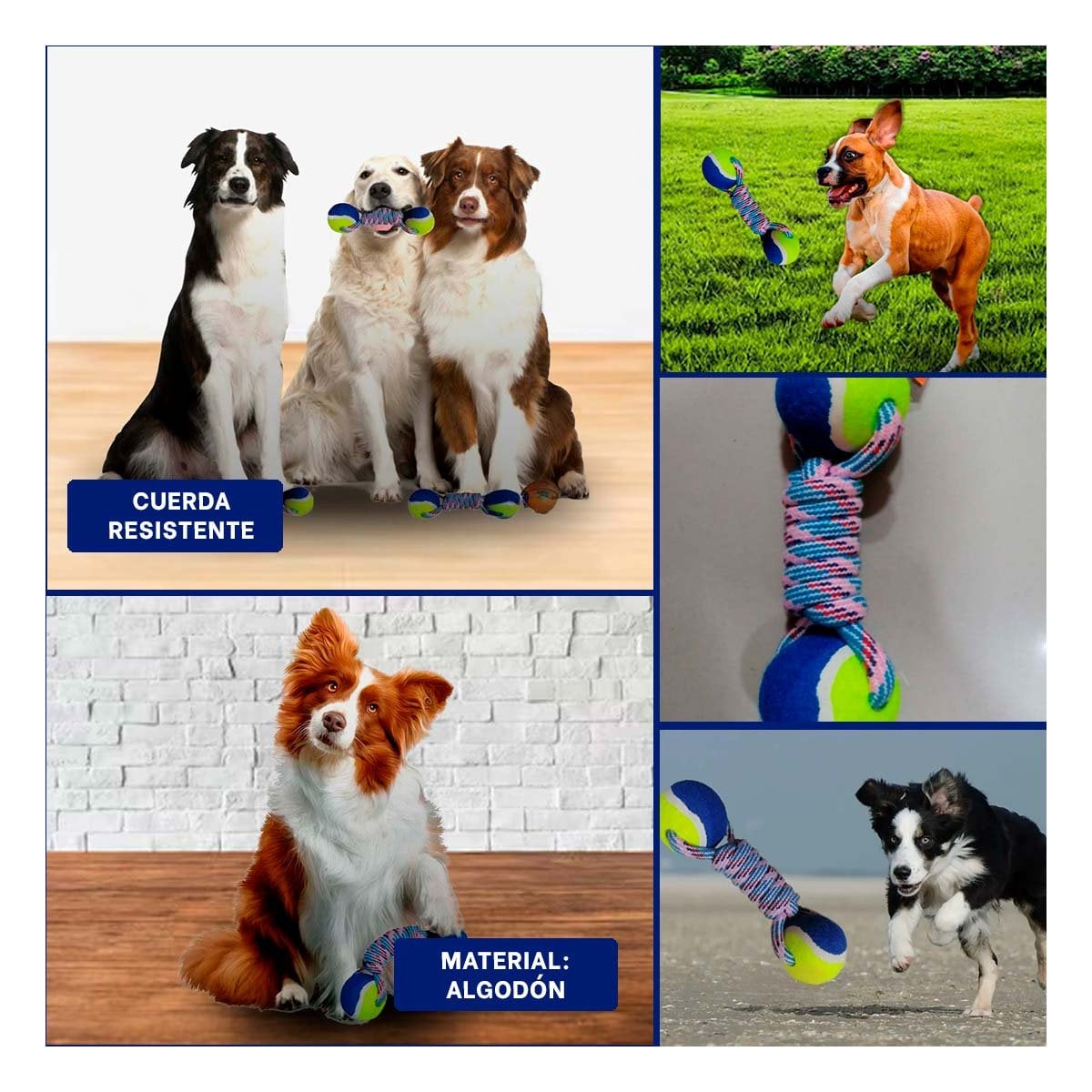 PACK4 OBJETO DE ENTRENAMIENTO CANINO CON PELOTAS DE TENIS AMARILLO CON AZUL Y+REGALO STICKER - 2