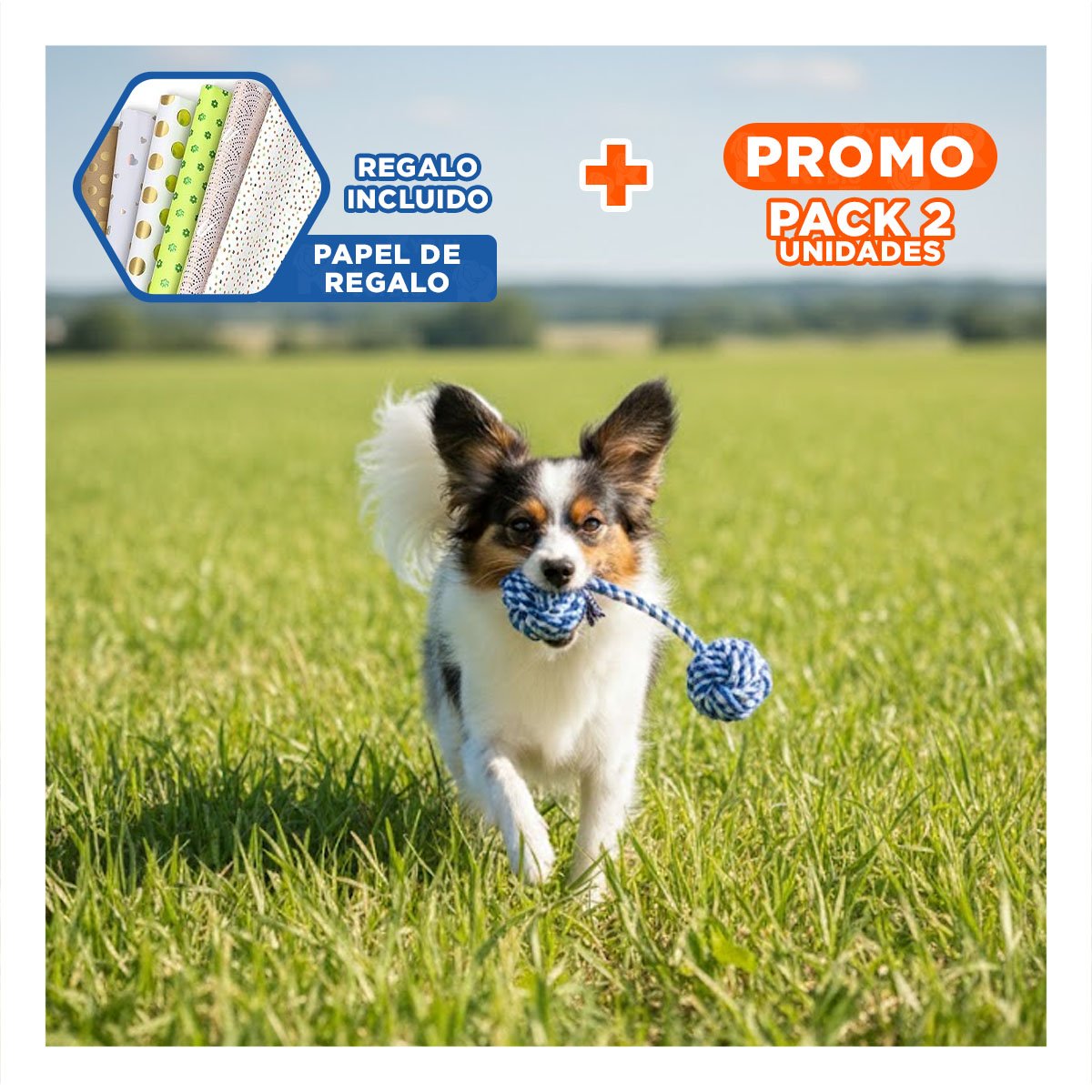 PACK2 PRODUCTO DE LANZAMIENTO CANINO CON PELOTA Y SOGA AZUL CELESTE Y+PAPEL REGALO - 1