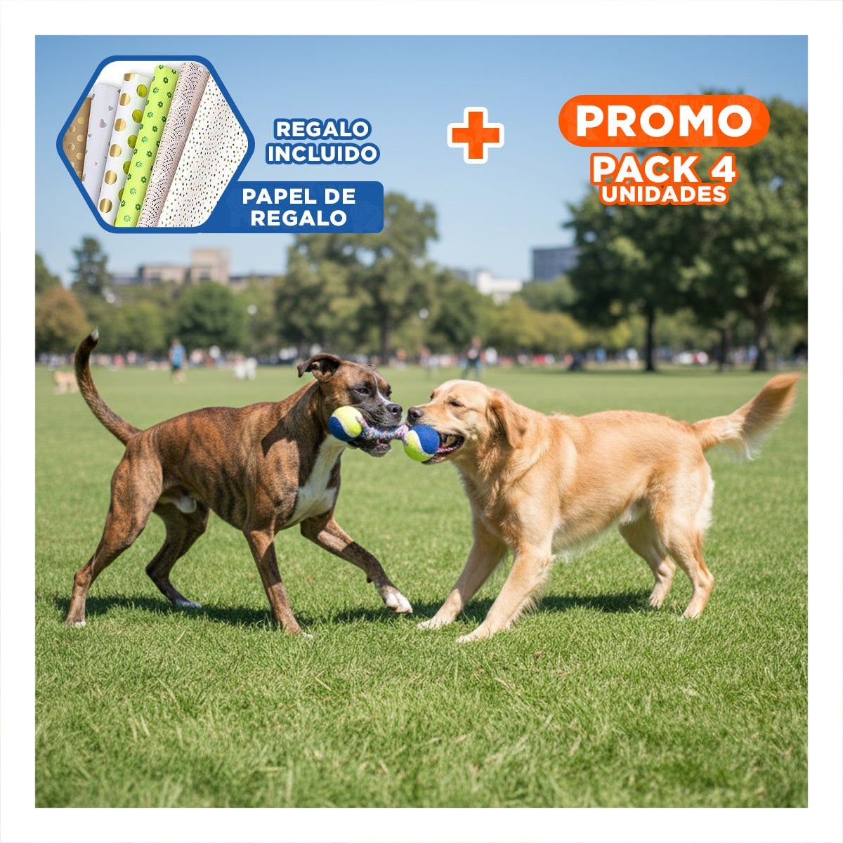 PACK4 ARTICULO RECREATIVO CANINO PRACTICO PARA USO DIARIO AMARILLO CON AZUL Y+PAPEL REGALO - 1
