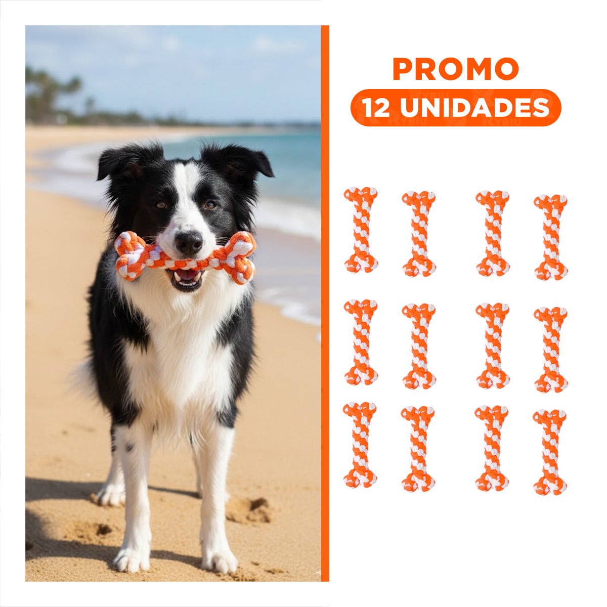 PACK12 JUGUETE PARA PERROS PARA ENERGIA ACUMULADA NARANJA Y+REGALO STICKER - 1