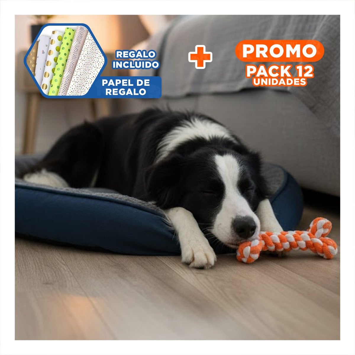 PACK12 JUGUETE PARA PERROS COMPACTO PARA ESPACIOS PEQUENOS NARANJA Y+PAPEL REGALO - 1