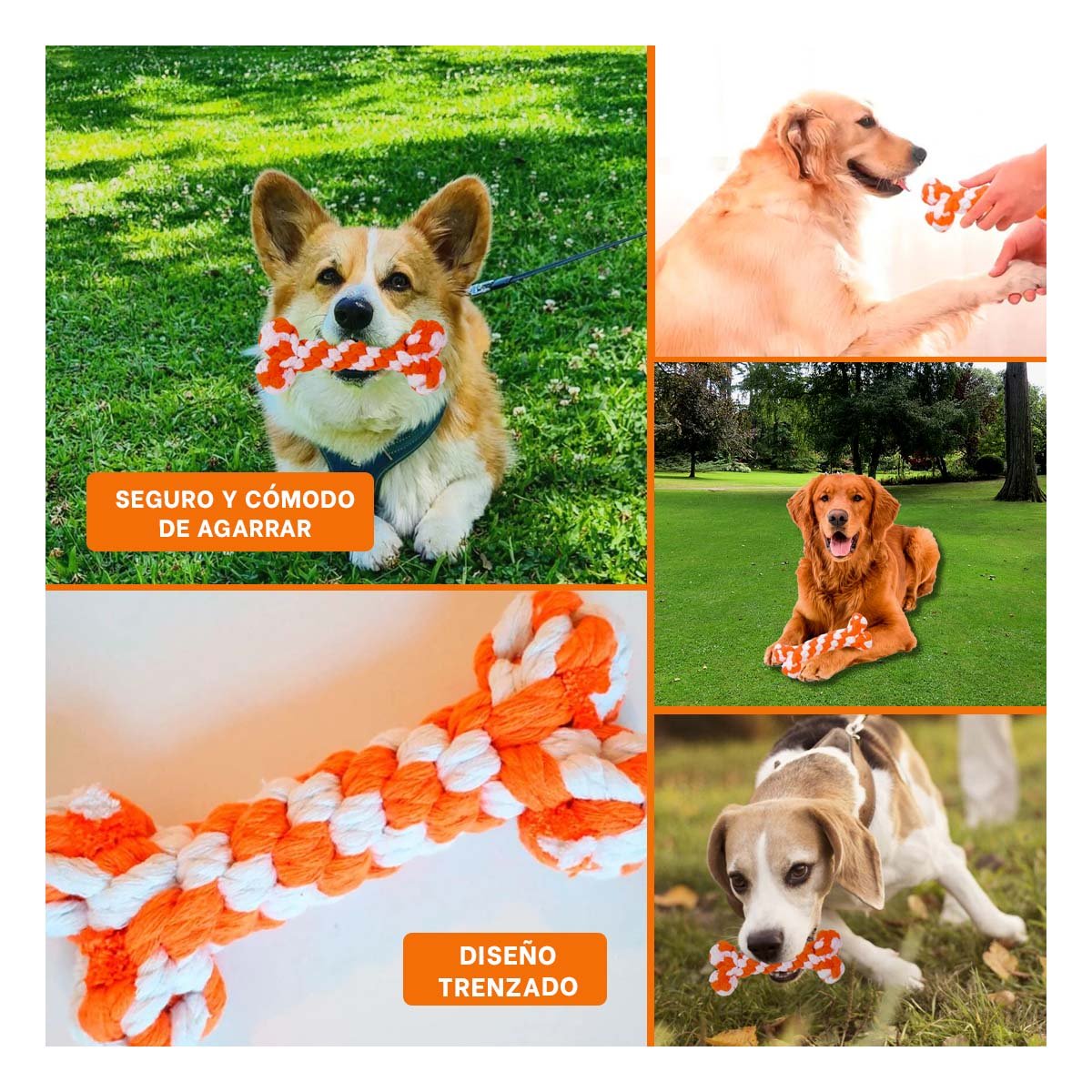 PACK12 JUGUETE PARA PERROS COMPACTO PARA ESPACIOS PEQUENOS NARANJA Y+PAPEL REGALO - 2