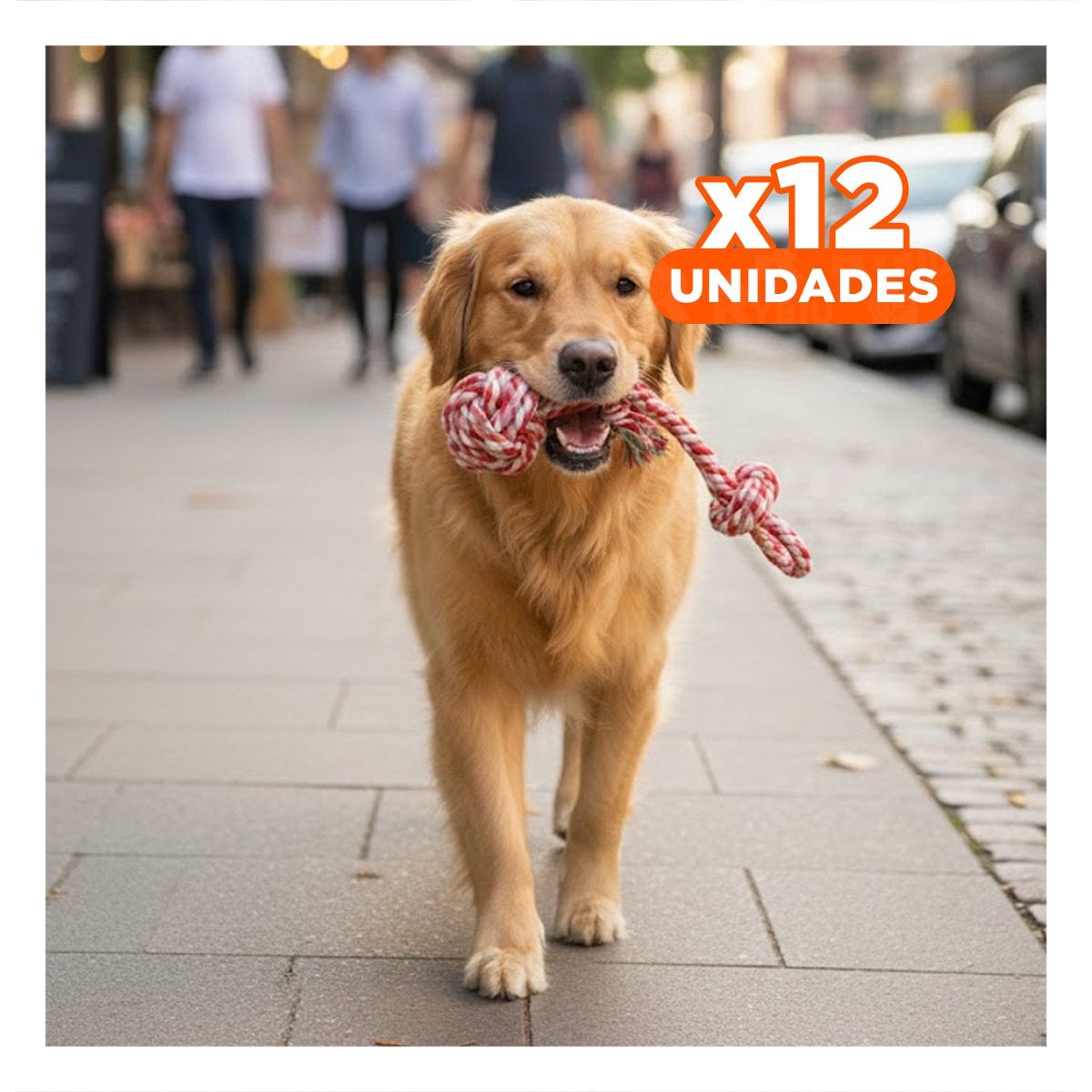 PACK12 IMPLEMENTO DE ACTIVIDAD CANINA CON PELOTA Y SOGA ROSADO ROJO - 1