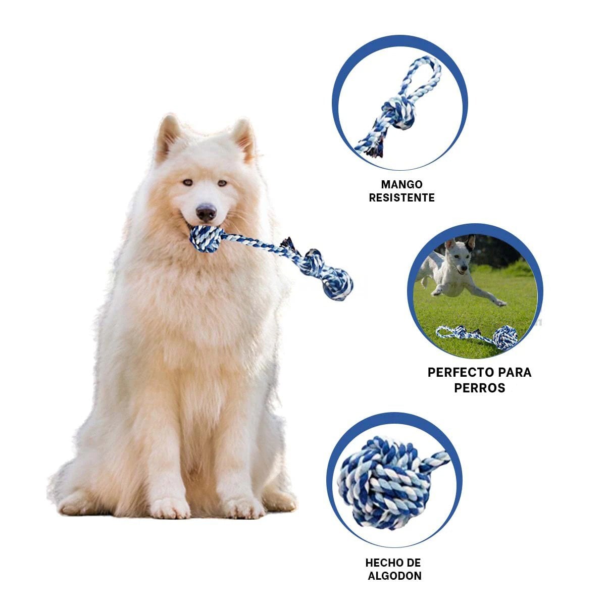 PACK6 ELEMENTO PARA ACTIVIDAD FISICA CON PELOTA Y SOGA CON MANGO AZUL CELESTE Y+REGALO STICKER - 2