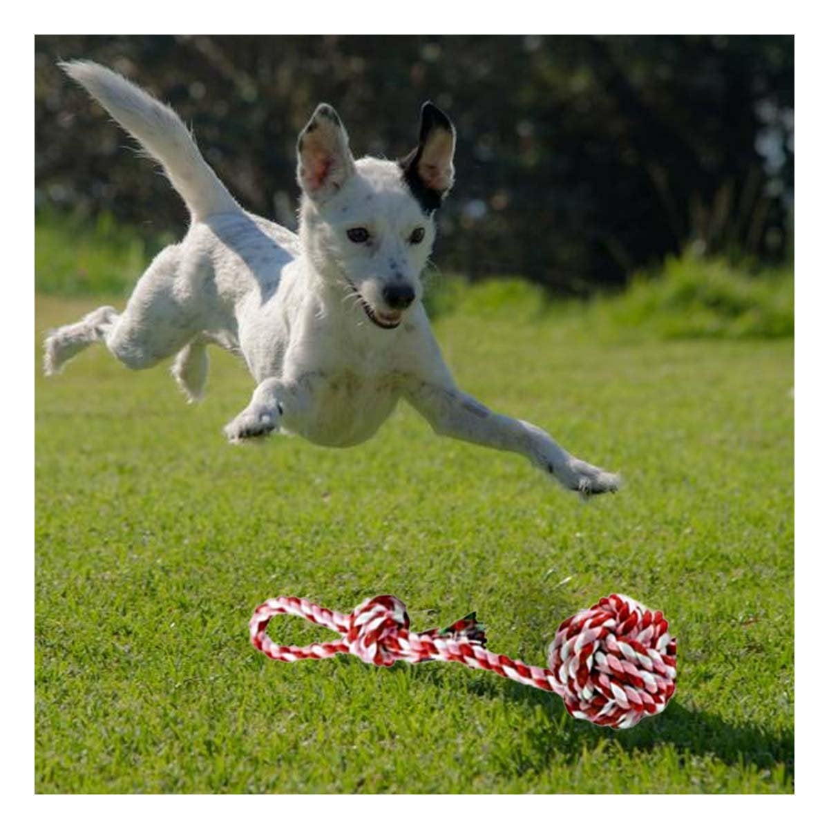 PACK2 OBJETO DE LANZAMIENTO CON PELOTA Y SOGA CON AGARRADERA ROSADO ROJO Y+REGALO STICKER - 3