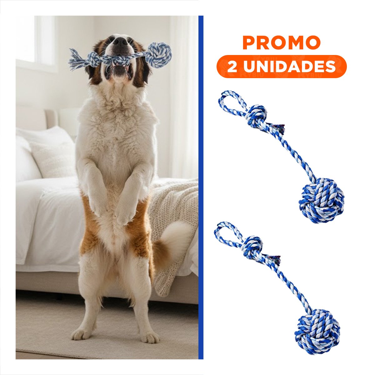 PACK2 PRODUCTO PARA TIRO Y AFLOJA CON PELOTA Y SOGA AZUL CELESTE - 1