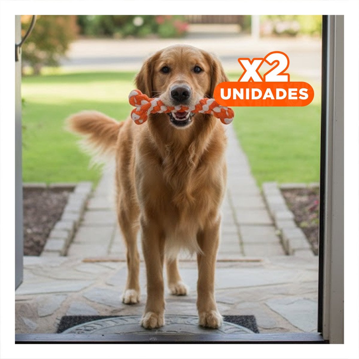 PACK2 OBJETO INTERACTIVO CANINO PARA MANTENERLO ACTIVO NARANJA Y+REGALO STICKER - 1