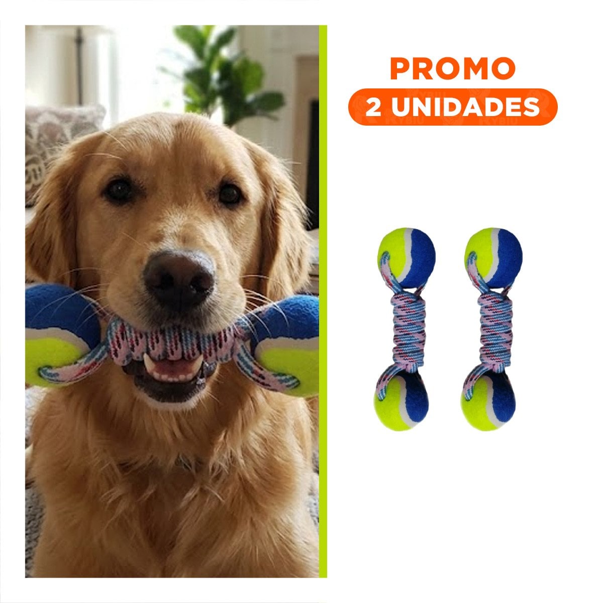 PACK2 ARTICULO RECREATIVO CANINO DOBLE PELOTA CON CUERDA AMARILLO CON AZUL - 1