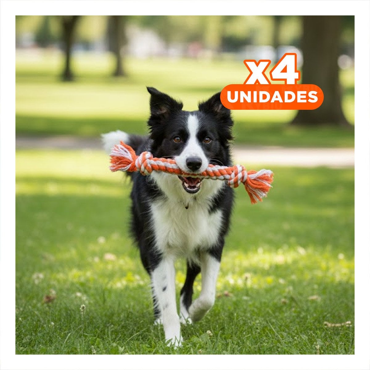 PACK4 OBJETO INTERACTIVO CANINO COMPACTO Y PRACTICO NARANJA - 1