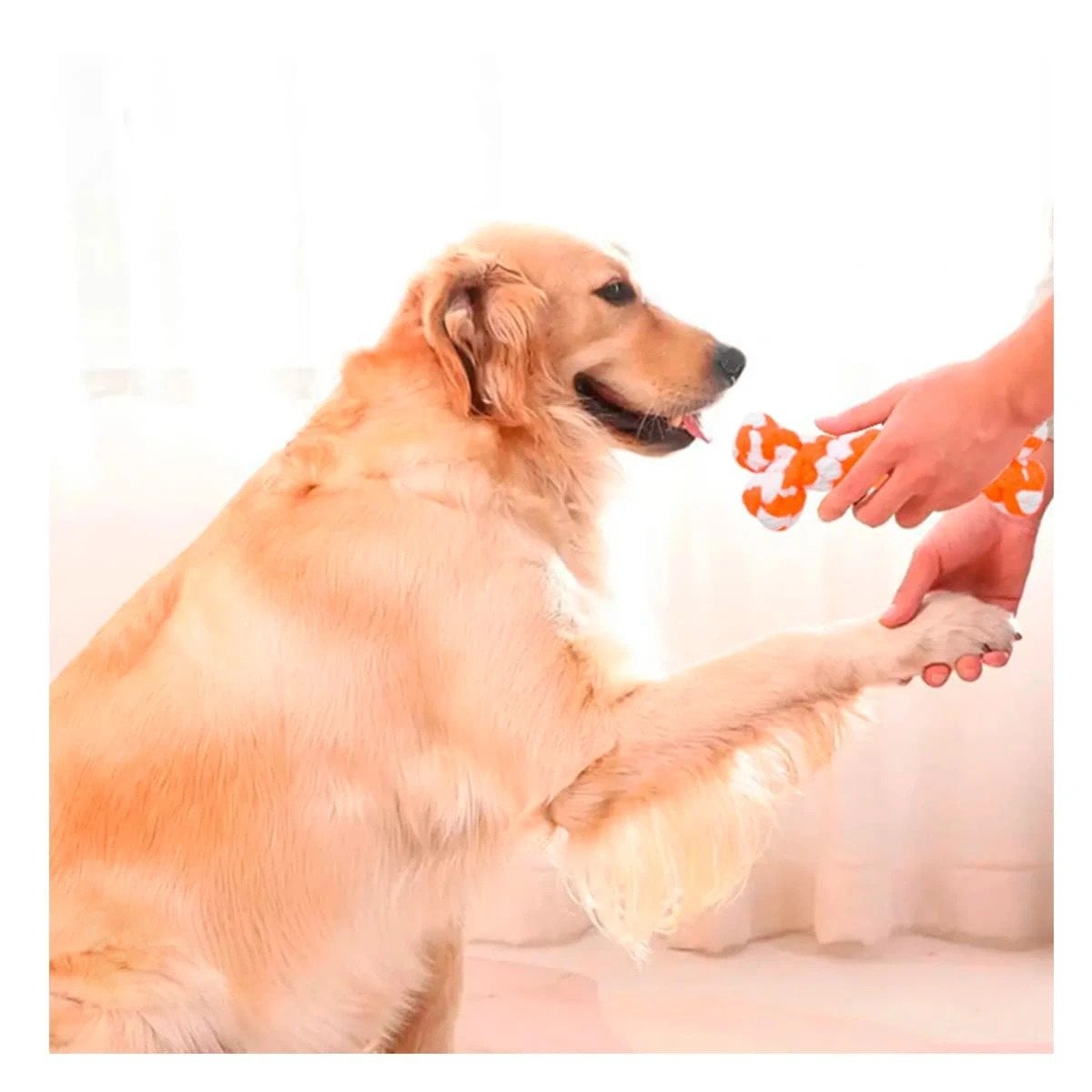 PACK4 OBJETO INTERACTIVO CANINO COMPACTO Y PRACTICO NARANJA - 3