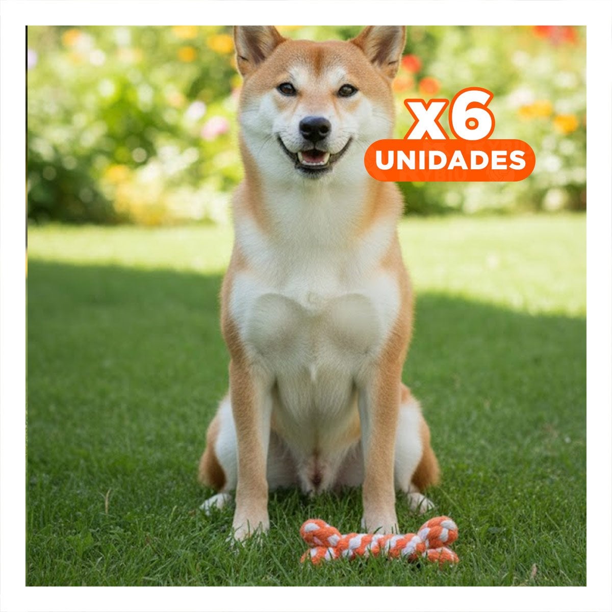 PACK6 CUERDA TRENZADA PARA MASCOTAS COMPACTA Y LIVIANA NARANJA Y+REGALO STICKER - 1