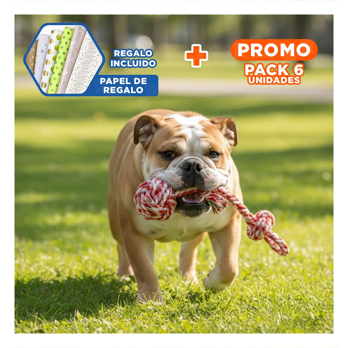 PACK6 IMPLEMENTO DE LANZAMIENTO CON PELOTA Y SOGA CON AGARRADERA ROSADO ROJO Y+PAPEL REGALO - 1