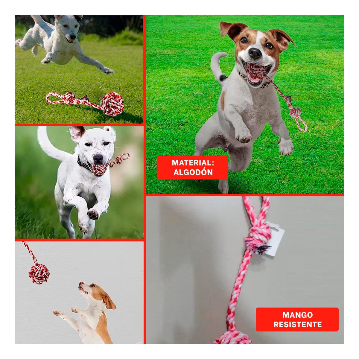 PACK6 IMPLEMENTO DE LANZAMIENTO CON PELOTA Y SOGA CON AGARRADERA ROSADO ROJO Y+PAPEL REGALO - 3