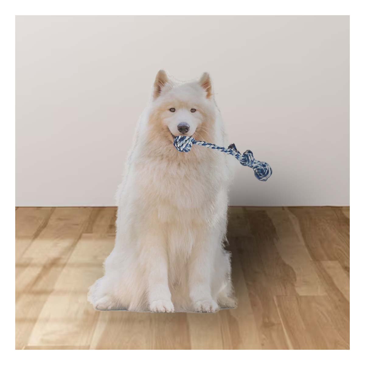 PACK6 ELEMENTO DE TENSION CANINA CON PELOTA Y SOGA CON AGARRADERA AZUL CELESTE - 5