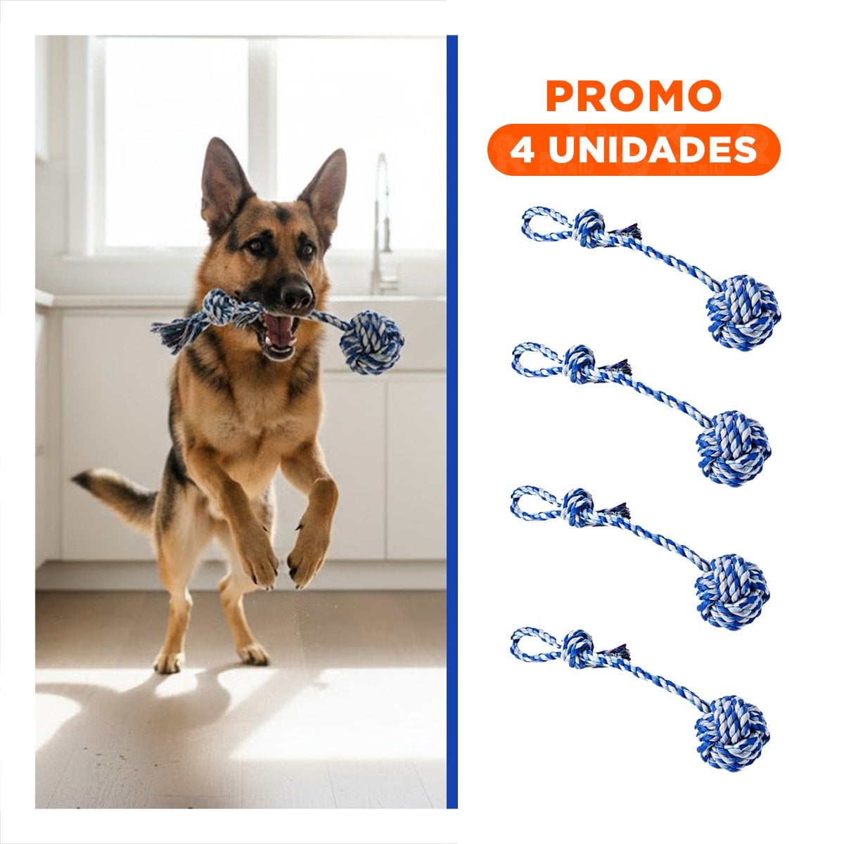 PACK4 ELEMENTO DE JUEGO PARA PERROS CON PELOTA Y SOGA AZUL CELESTE Y+REGALO STICKER - 1